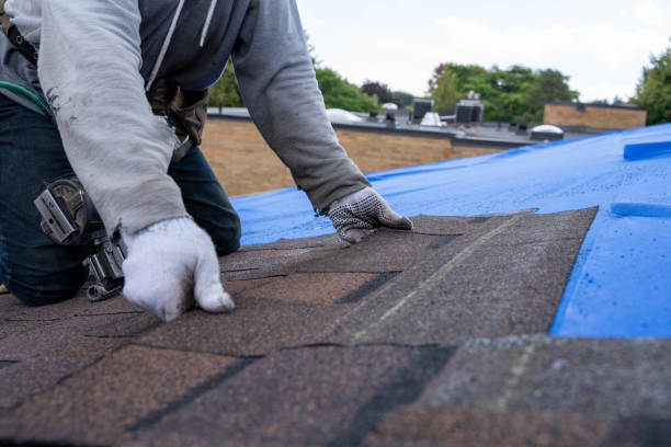 Best New Roof Installation  in Riverdale Park, MD