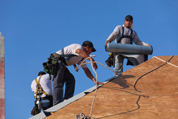 Best Gutter Installation and Roofing  in Riverdale Park, MD