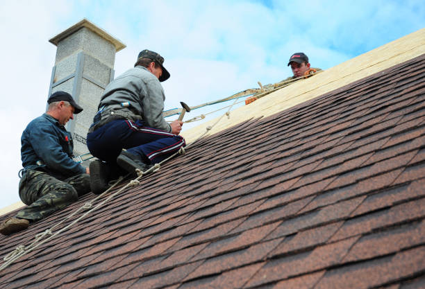 Best Residential Roof Replacement  in Riverdale Park, MD